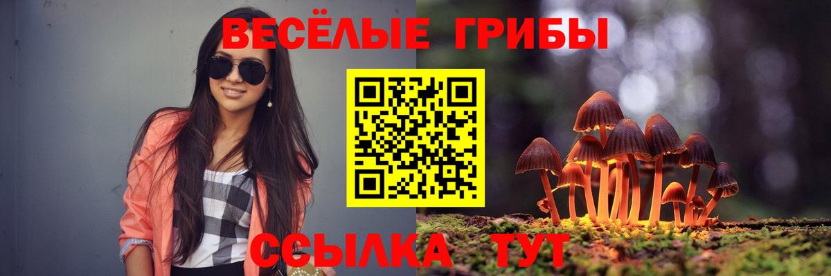 Галлюциногенные грибы мицелий  Вход с VPN  Сыктывкар 